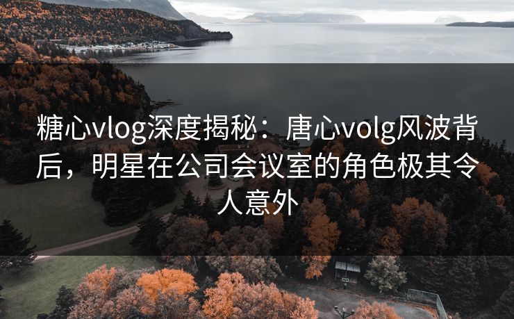 糖心vlog深度揭秘：唐心volg风波背后，明星在公司会议室的角色极其令人意外