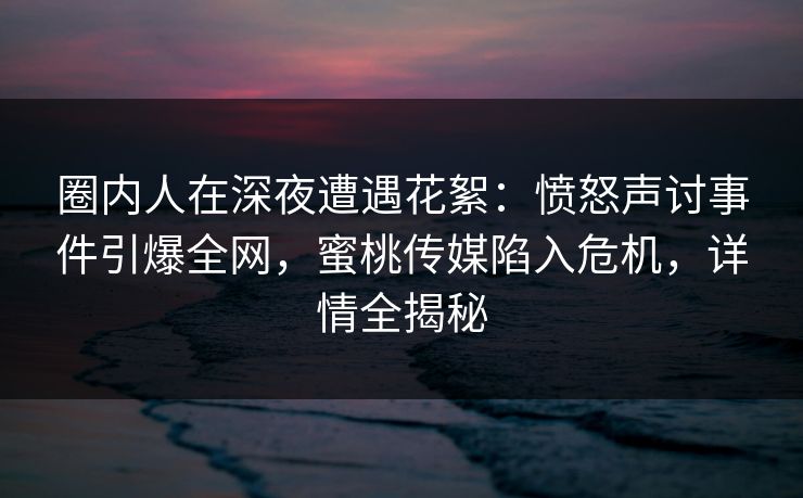 圈内人在深夜遭遇花絮：愤怒声讨事件引爆全网，蜜桃传媒陷入危机，详情全揭秘
