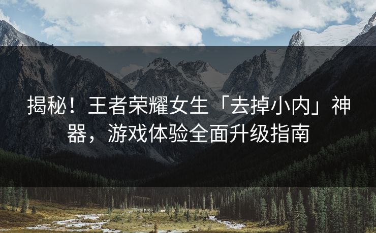 揭秘！王者荣耀女生「去掉小内」神器，游戏体验全面升级指南