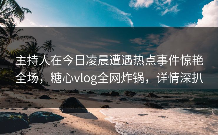 主持人在今日凌晨遭遇热点事件惊艳全场，糖心vlog全网炸锅，详情深扒