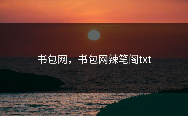 书包网，书包网辣笔阁txt  第1张