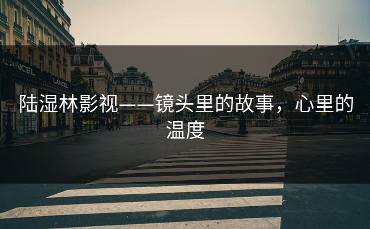 陆湿林影视——镜头里的故事,心里的温度 第1张 陆湿林影视——镜头里的故事,心里的温度 第1张