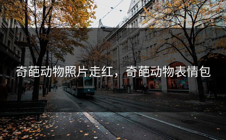 奇葩动物照片走红,奇葩动物表情包 第1张 奇葩动物照片走红,奇葩动物表情包 第1张